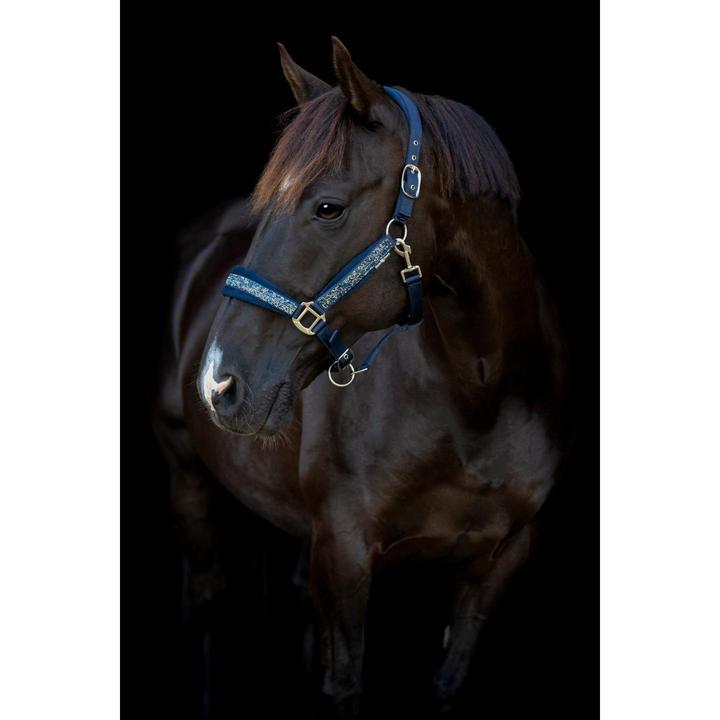Produktbild Horse Guard Angel