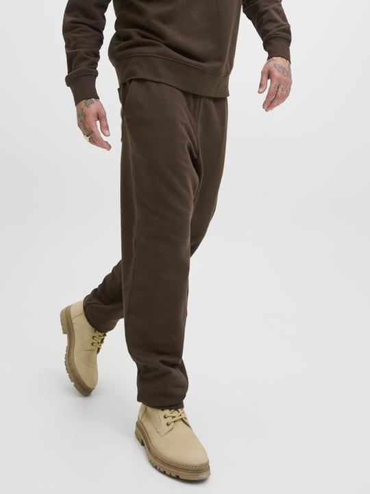 Actual product image Jack & Jones Regular Fit Relaxed Fit Hosen Relaxed Fit Hosen (XXL)