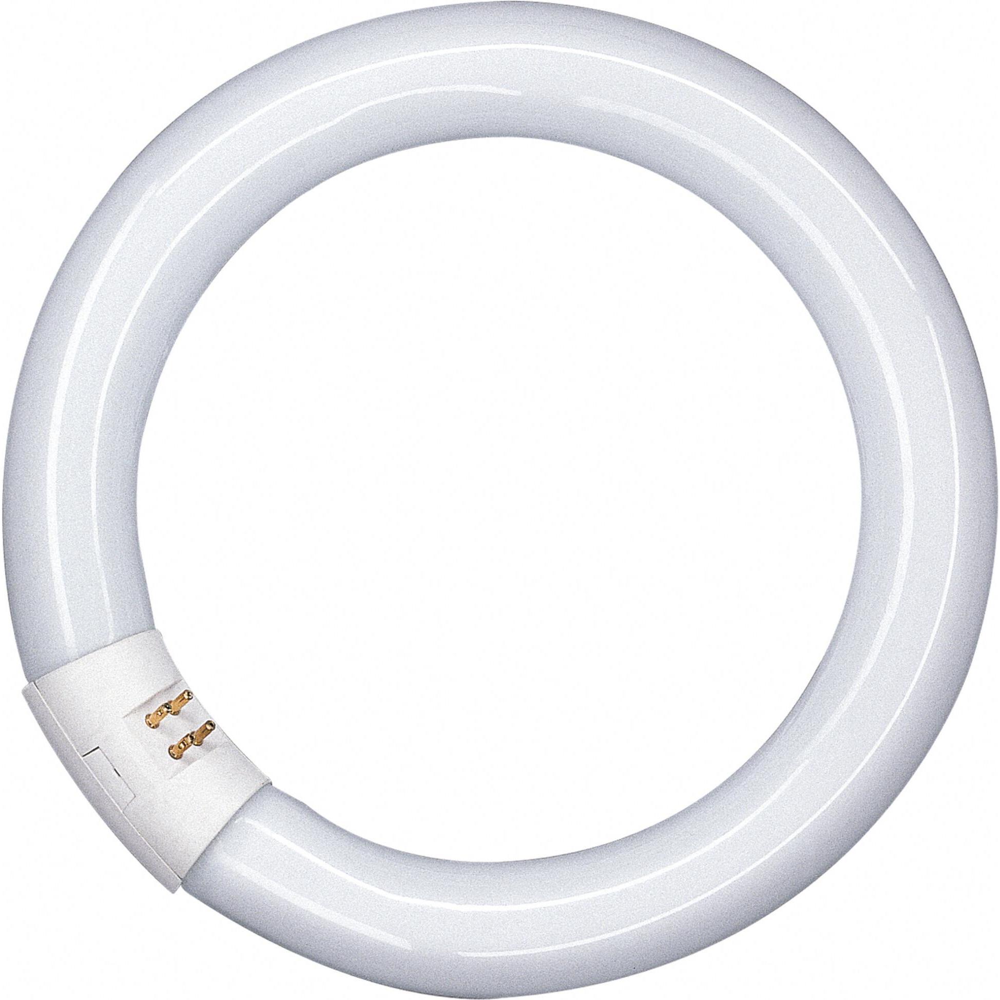 Osram, Leuchtmittel, Lumilux T9 C (T9, 32 W, 2100 lm, 1 x, G)