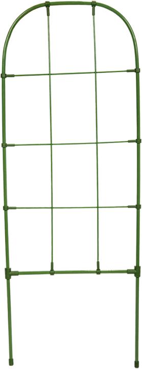 Bradas Plant tendril arch