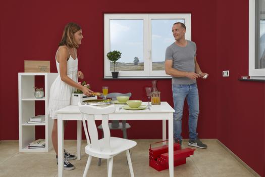 Image du produit Wagner Control Pro 250 R