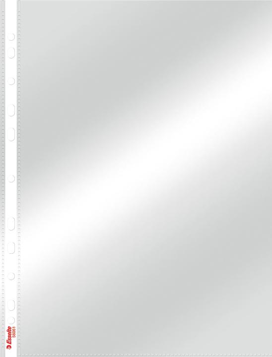 Actual product image Esselte Plastic Pocket Standard (A4, 10x)