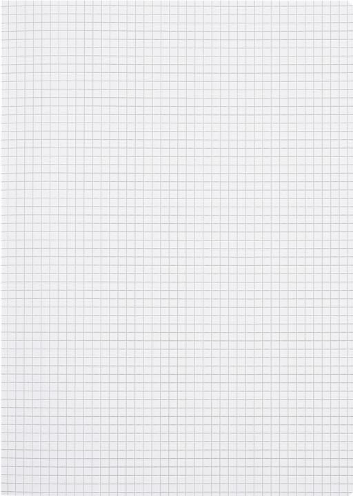 Actual product image Oxford exercise book (A4, Checked, Hardcover)