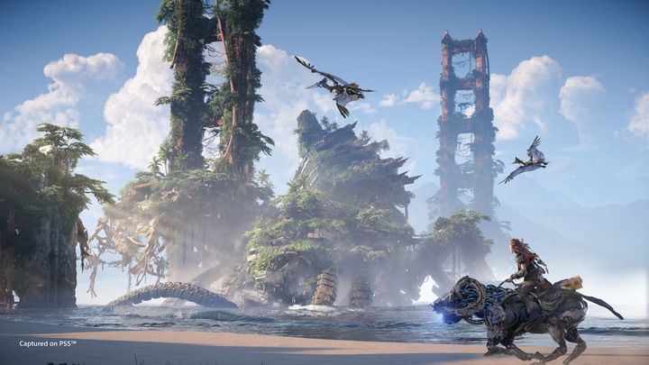 Actual product image Sony Horizon Forbidden West PS4 (PS4, DE)