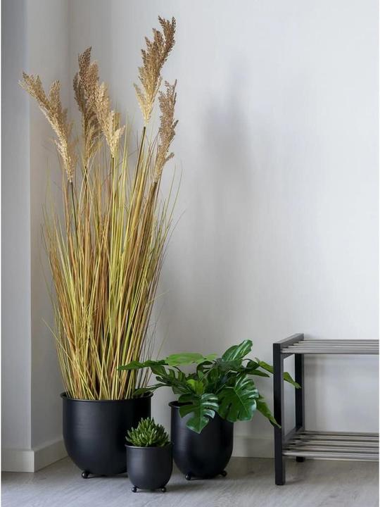 Actual product image House Nordic Sorghum grass (110 cm)