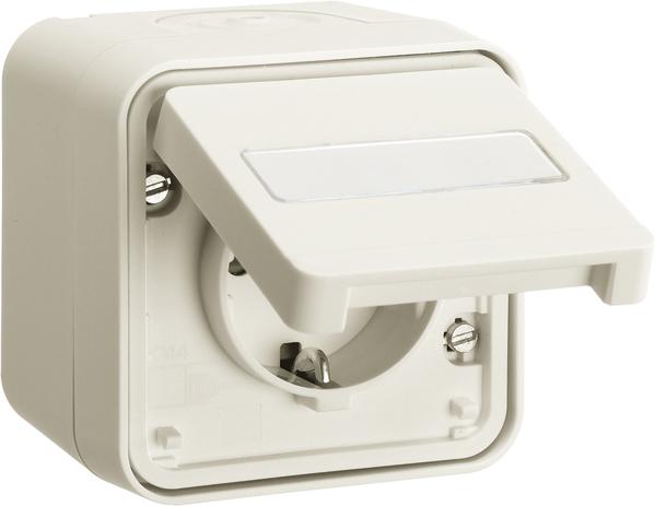 Actual product image Berker SCHUKO socket outlet with hinged cover surface-mounted, W.1, polar white matt
