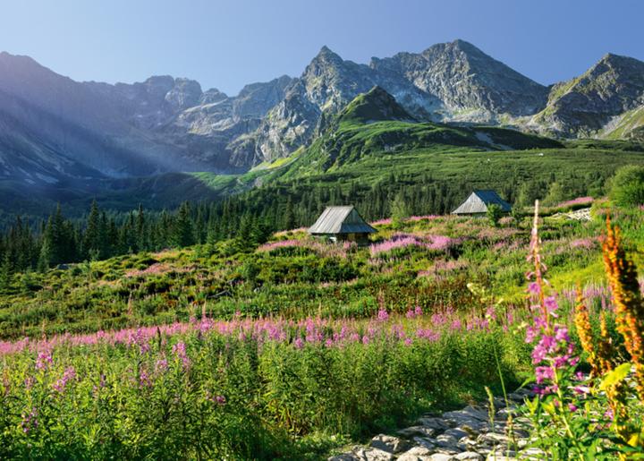 Produktbild Cherry Pazzi Puzzle Gsienicowa dolina, Hohe Tatra 1000 Teile (1000 Teile)