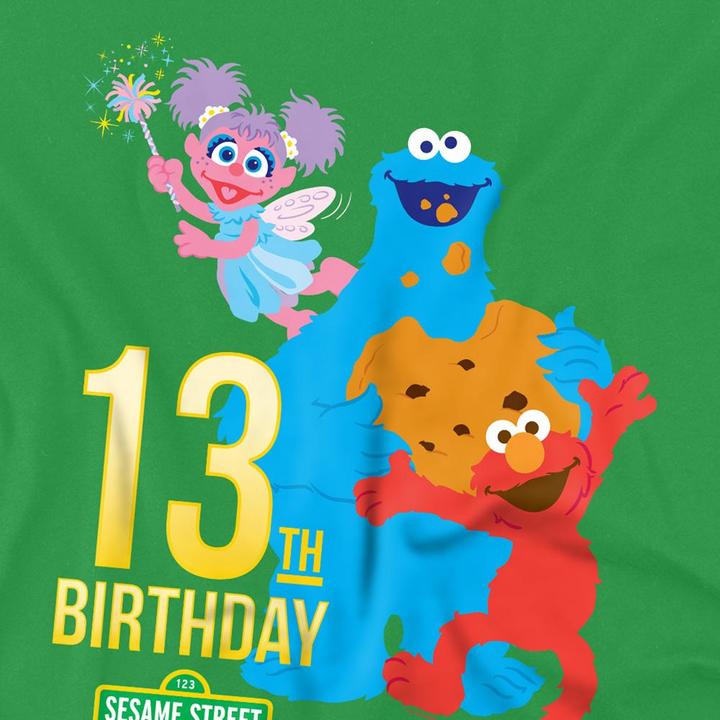 Produktbild Sesame Street TShirt 13 Geburtstag (XXL)