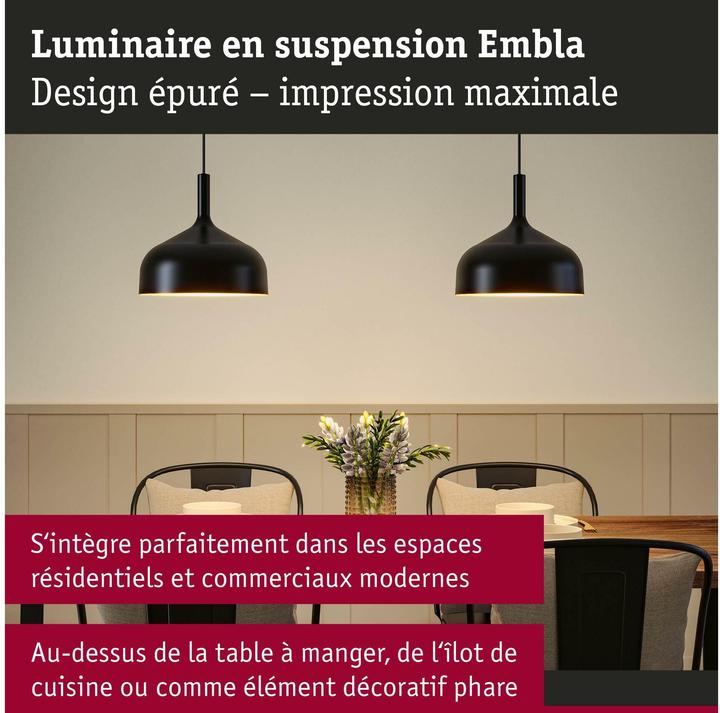 Produktbild Paulmann Embla II (E27)