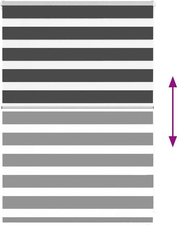 Produktbild vidaXL Zebra-Jalousie (115 x 100 cm)