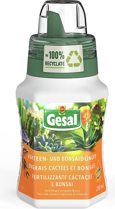 Kakteen- und Bonsaidnger