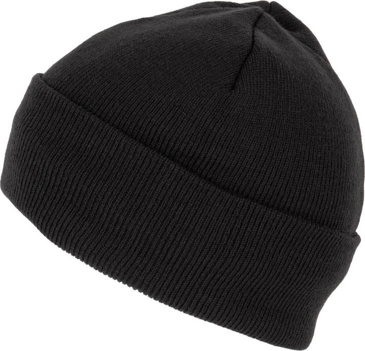 Actual product image K-up Recycled beanie with thinsulate lining