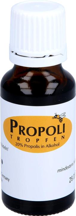 Actual product image Remmele Tropfen 20 % in Alkohol (1 Piece, Droplet, 67 g)
