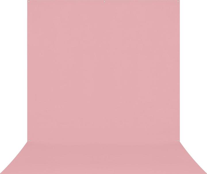 Rose Fard à Joues