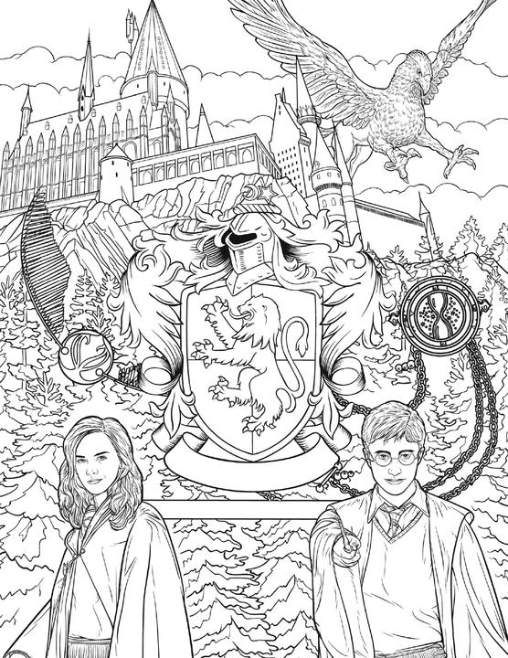 Image du produit Panini Les films de Harry Potter : Le livre officiel de coloriage : Gryffondor