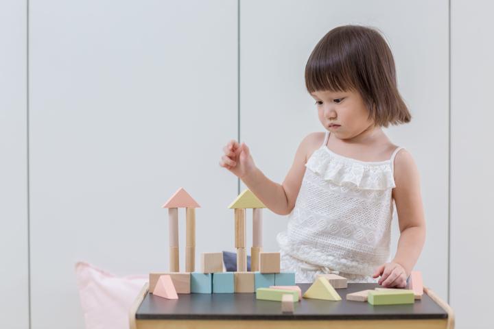 Actual product image Plantoys 40 wooden blocks pastel