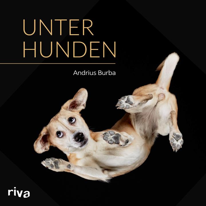Produktbild Unter Hunden (Deutsch, Andrius Burba, 2017)