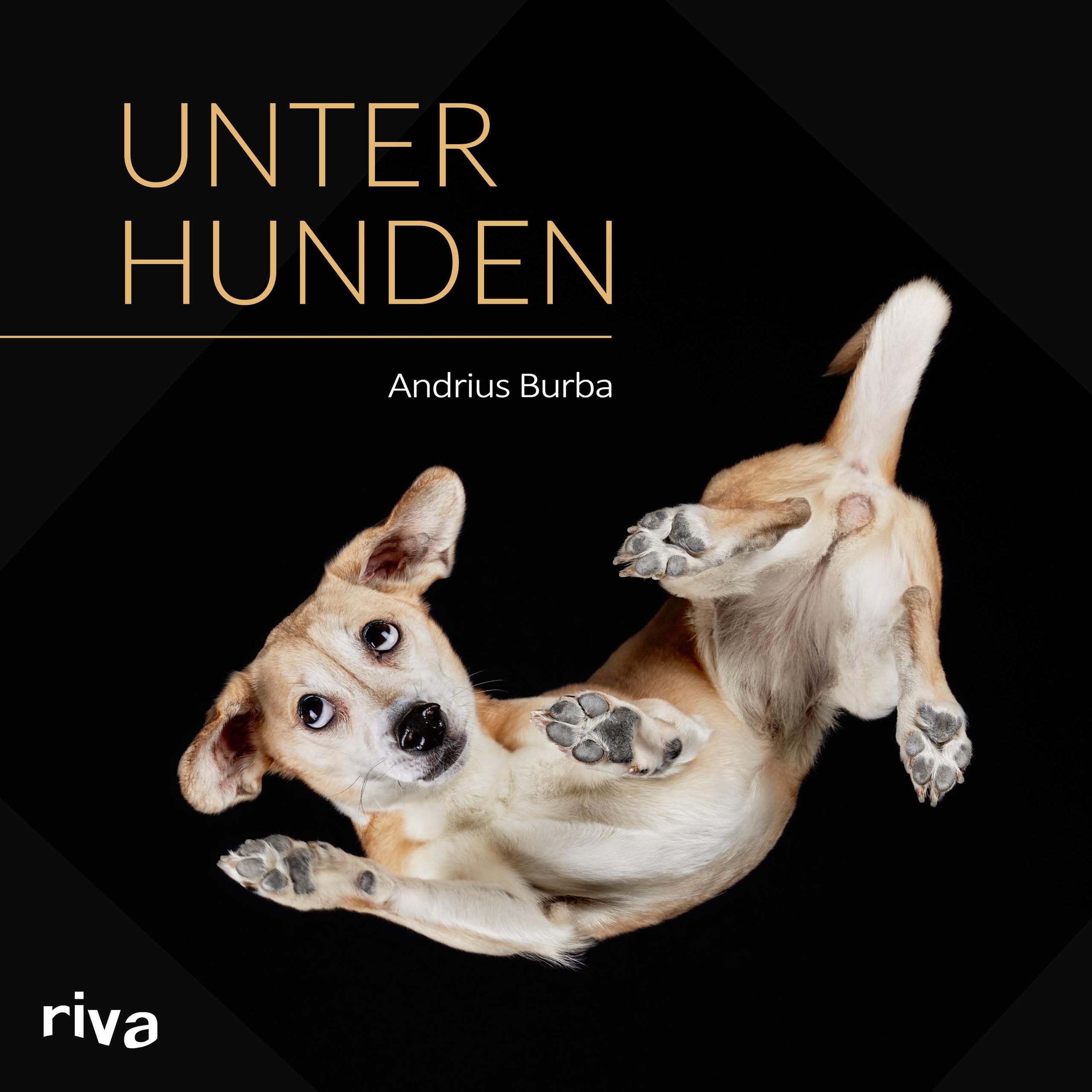 Unter Hunden, Belletristik von Andrius Burba