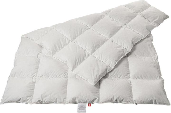 Produktbild Duvetsuisse Medium Duck Basic (1020 g, Daune, 240 x 210 cm)