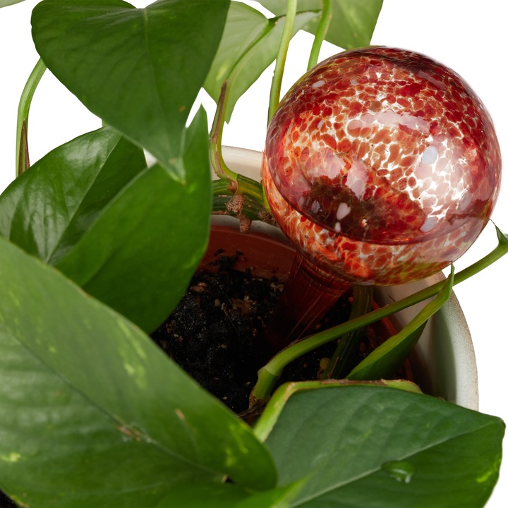 Actual product image Relaxdays Watering Globes Set of 2 (Irrigation balls)