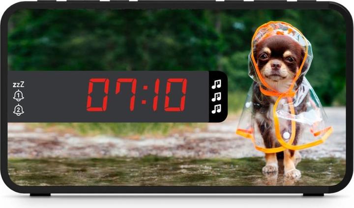 Actual product image Bigben Dual Alarm Clock R16 - Seasons Funny