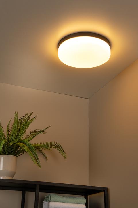 Image du produit Lucide Biskit (1500 lm)