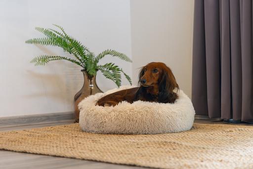 Image du produit Beeztees Hundebett Yala (Chien)