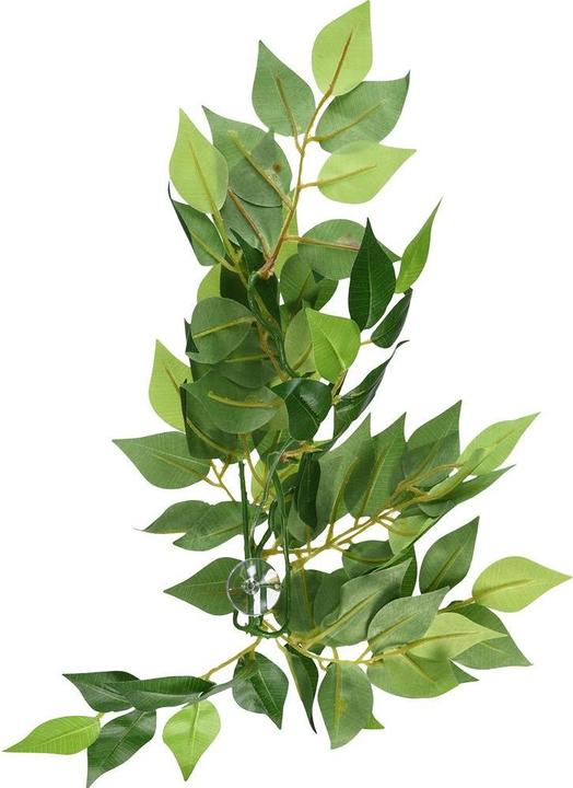 Produktbild Exo Terra Jungle Plant Fikus