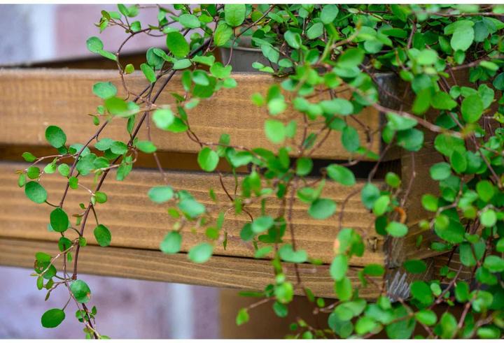 Image du produit Dobar 3-stufige Blumenleiter für die Wandmontage