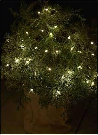 Image du produit Sirius Cheveux d'ange (3.90 m)