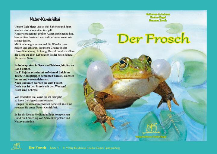Produktbild Der Frosch. Natur-Kamishibai (Deutsch, Andreas Fischer-Nagel, Heiderose Fischer-Nagel, 2018)