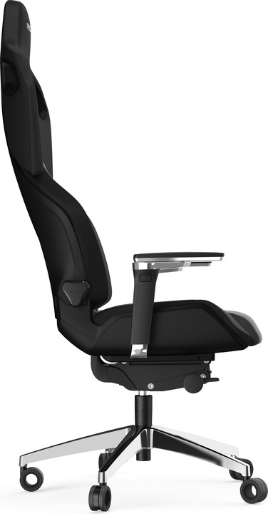 Actual product image RECARO Exo Platinum