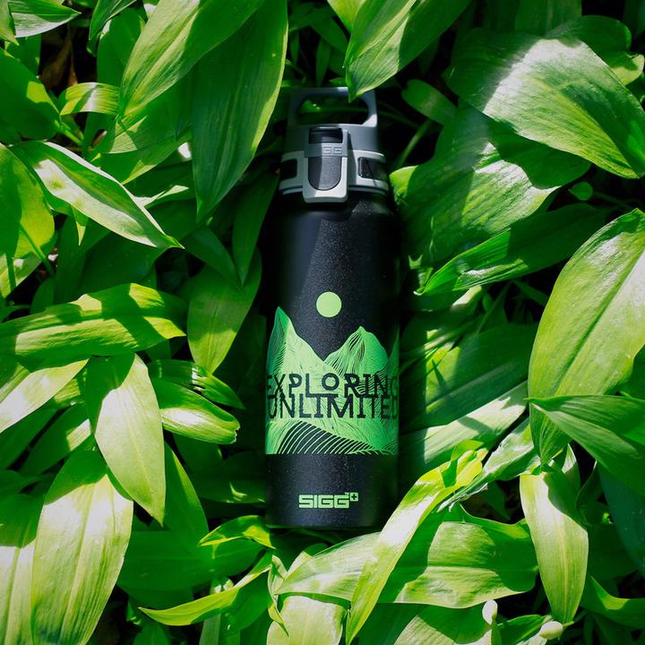 Actual product image Sigg Bottle (1 l)