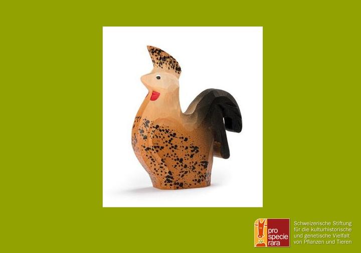 Actual product image Trauffer Appenzell Pointed Crested Chicken