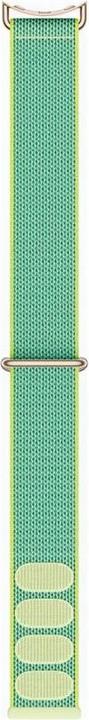 champagne gold stainless steel lugs, Wintergreen