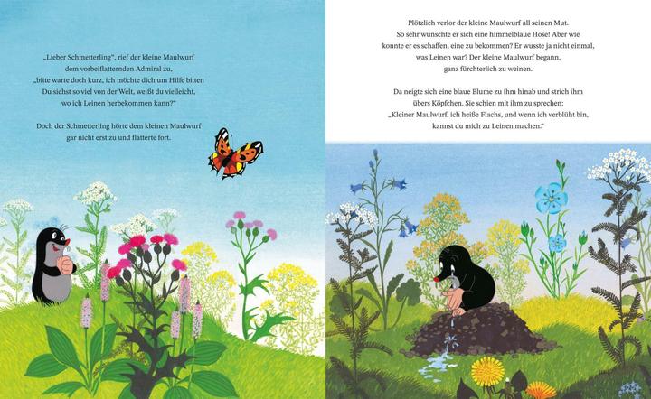 Produktbild Wie der kleine Maulwurf zu seiner Hose kam (Deutsch, Zdeněk Miler, 2025)