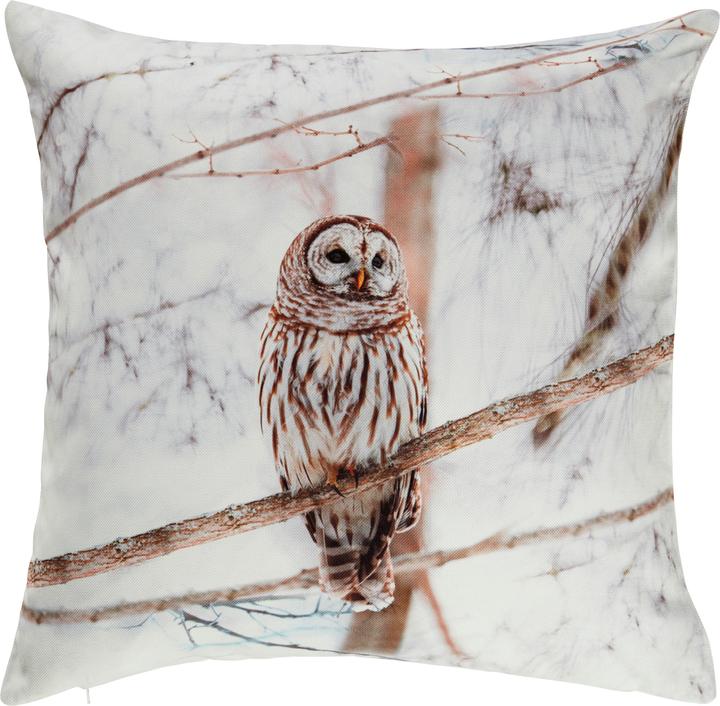 Image du produit Erwin Müller Kissenhülle "Eule" (50 x 50 cm)