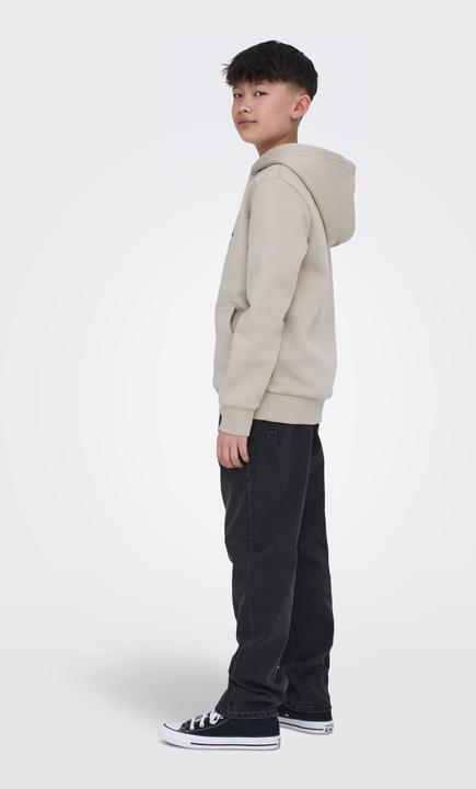 Produktbild Only & Sons Junior Osjceres Reg Vintage Print Hood Swt Noos (158, 164)