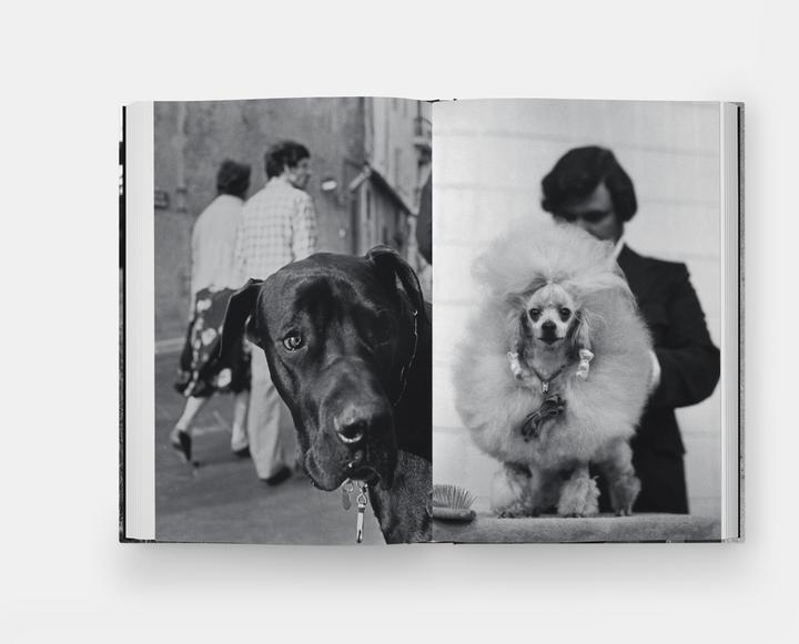 Immagine prodotto Hunde lieben