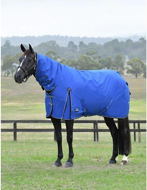 Actual product image Weatherbeeta Comfitec Essential Combo 220g (150 cm)