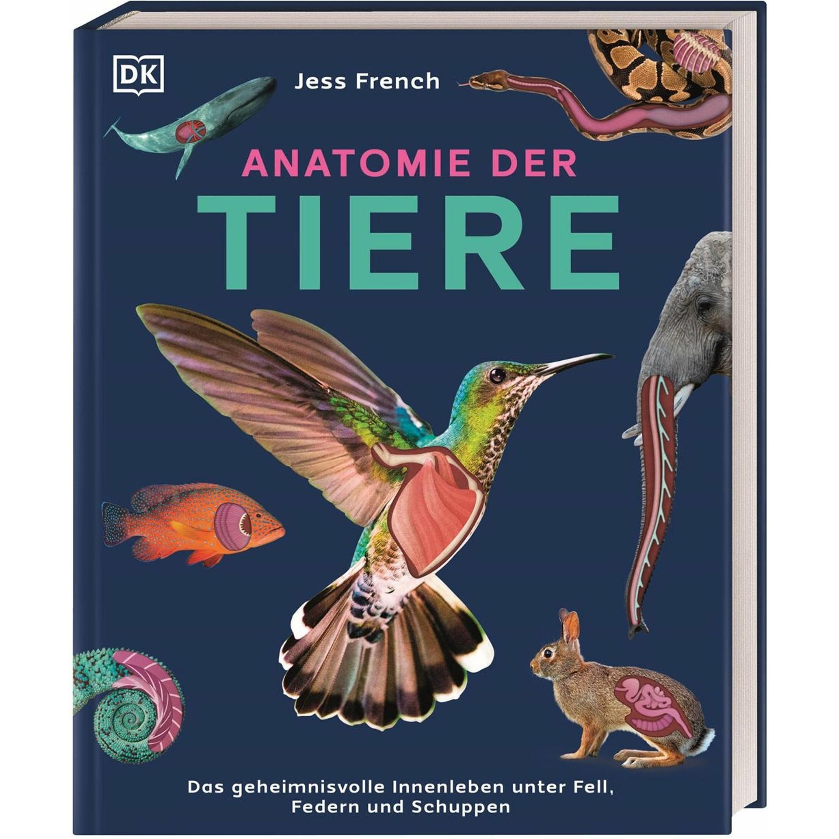 French:Anatomie der Tiere, Kinderbücher von Jess (Dr.) French