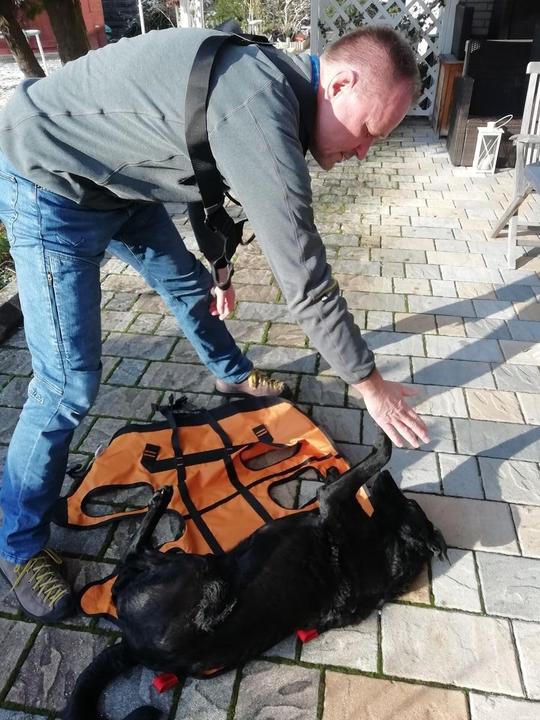 Produktbild Singing Rock Rettungshundegeschirr Laika (Hund, Allgemein)