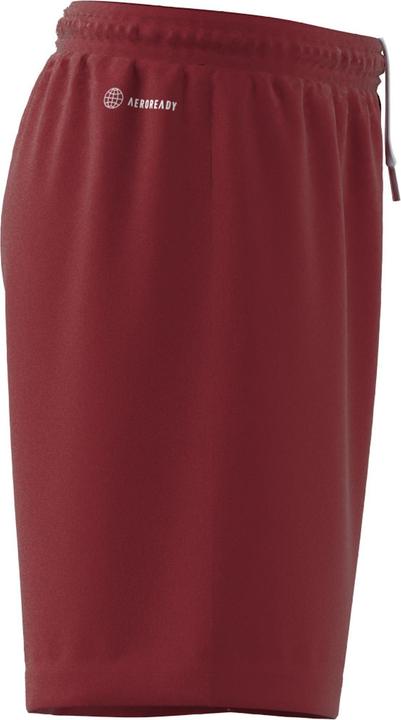 Actual product image adidas Entrada 22 Shorts (152)