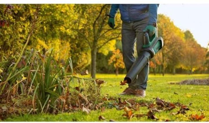 Produktbild Bosch Home & Garden AdvancedLeafBlower 36V-750 (Akkubetrieb, Laubbläser)