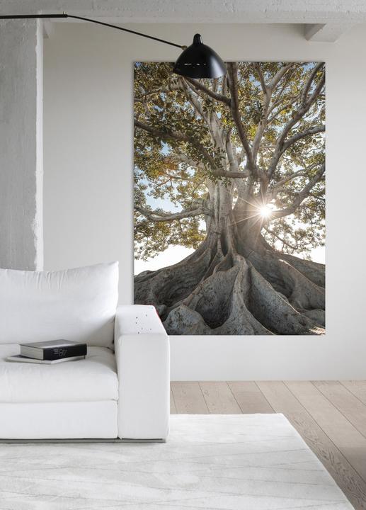 Immagine prodotto Eicie Arven (140 x 200 cm)