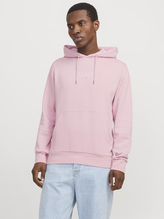 Produktbild Jack & Jones Jprbluarchie Sweat Hood Noos (XL)
