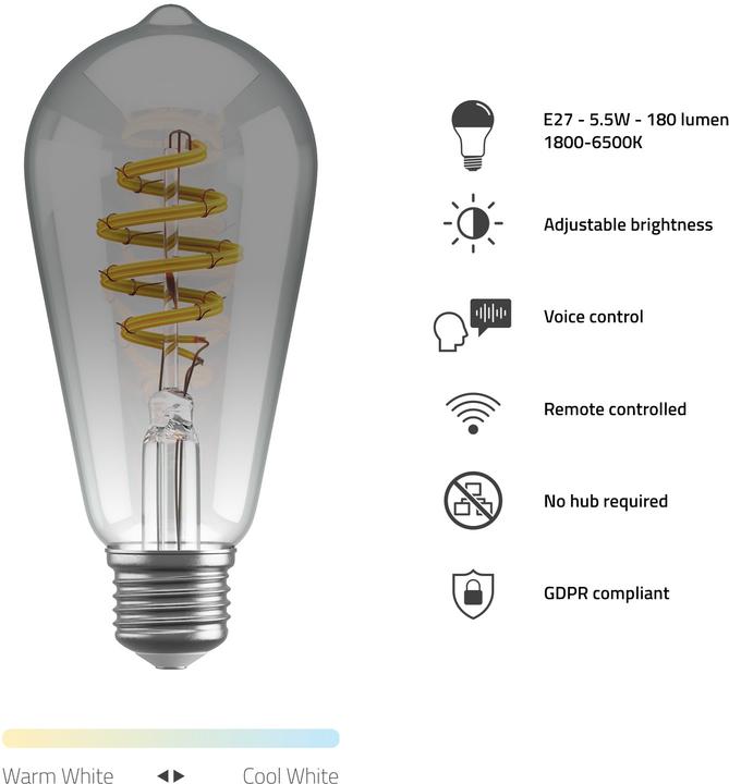 Actual product image Hombli Filament Bulb CCT E27 ST64 (E27, 5.50 W, 180 lm, 1 x, G)
