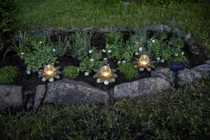 Image du produit Star Trading Solar Decoration Lilly (IP44)