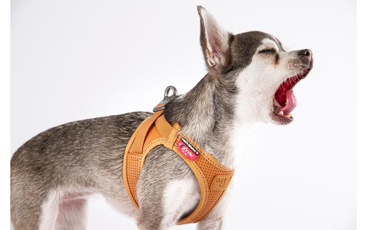 Productafbeelding Curli Harnas Appelleder, 2XS, Bruin (XXS, Hond, Algemeen)