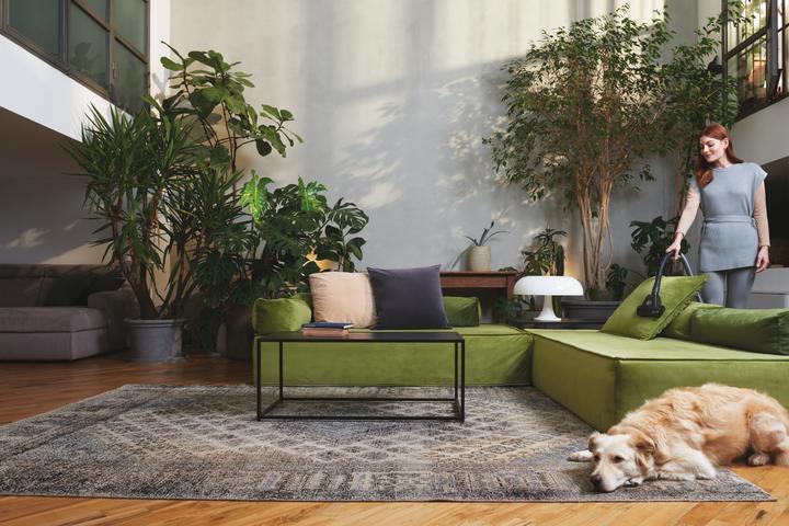 Actual product image Hoover TXL80PET 011